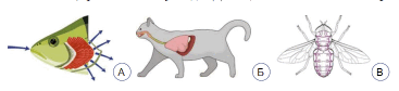 06031kmb-40f4-367x84.png