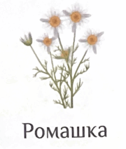 06031koc-a406-180x213.png
