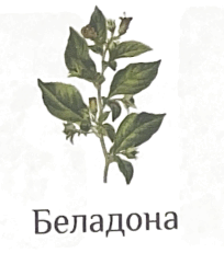 06031koh-9044-204x231.png