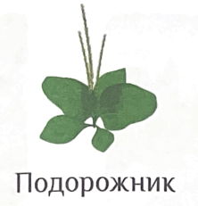 06031kop-fb76-222x231.png