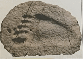 06031kr2-9865-274x196.png