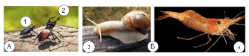 06031ks6-09db-829x186.png
