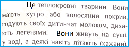 06031ktn-0b95-509x189.png