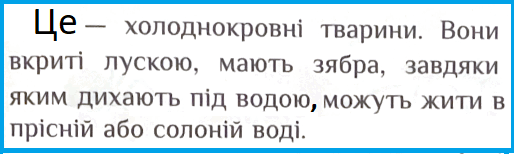 06031kvo-0313-514x154.png