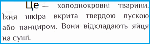 06031kw7-42a6-498x146.png