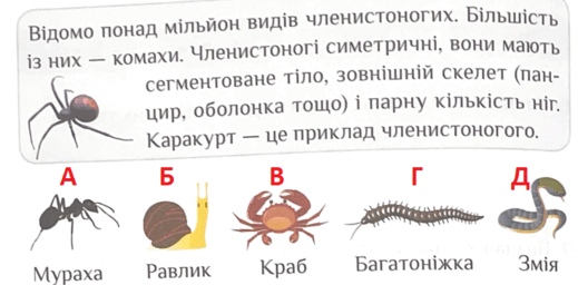 06031kzw-e2ce-519x256.png