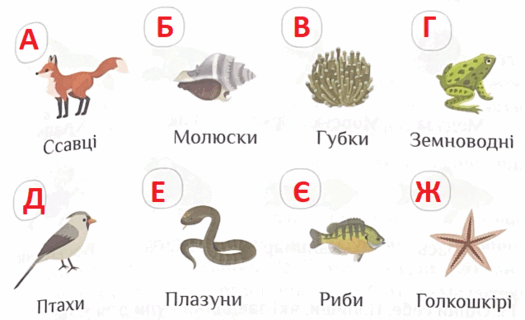 06031lfd-5299-637x388.png