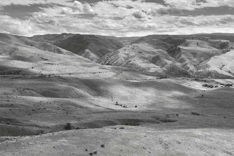 06031lq2-7540-481x321.png