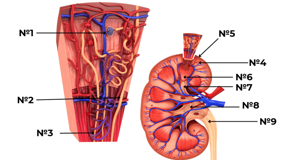 06031luo-e5b3-940x521.png