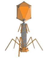 06031lwi-1f23-160x196.png