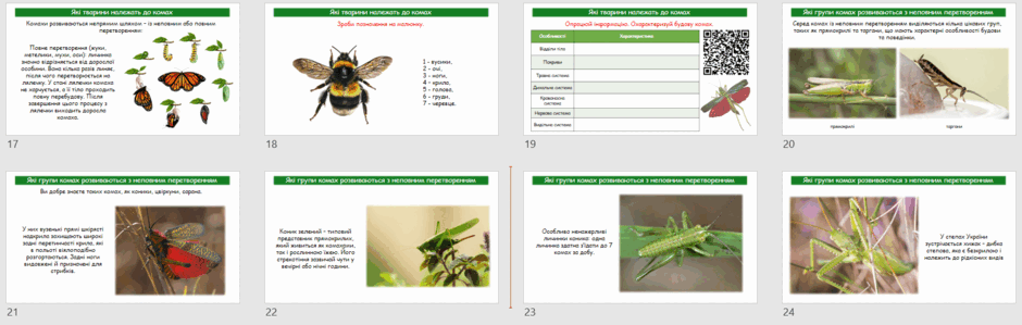 06031lyv-86fd-940x299.png