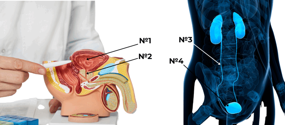 06031lzh-9f09-940x413.png