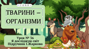 Презентація до уроку Я досліджую світ 3 клас "ТВАРИНИ — ОРГАНІЗМИ."