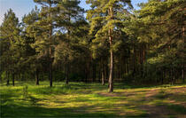 06031pjv-9ea6-210x133.jpg
