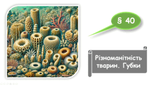   7 клас НУШ. Різноманітність тварин. Губки