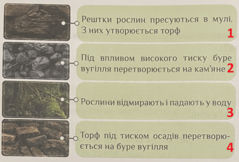 06031pt0-11b8-473x321.png