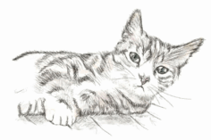 06031qvn-c93f-236x157.png