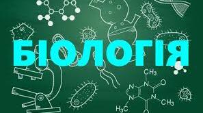Лабораторна робота № 24 "Будова шапинкових грибів"з біології для 7 класу за модульною програмою В.І. Соболя