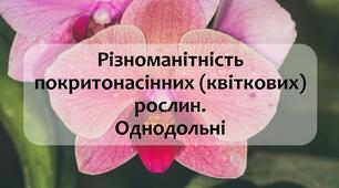 §31 Різноманітність покритонасінних (квіткових) рослин. Однодольні