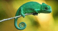 06031tu5-d8e2-237x129.png