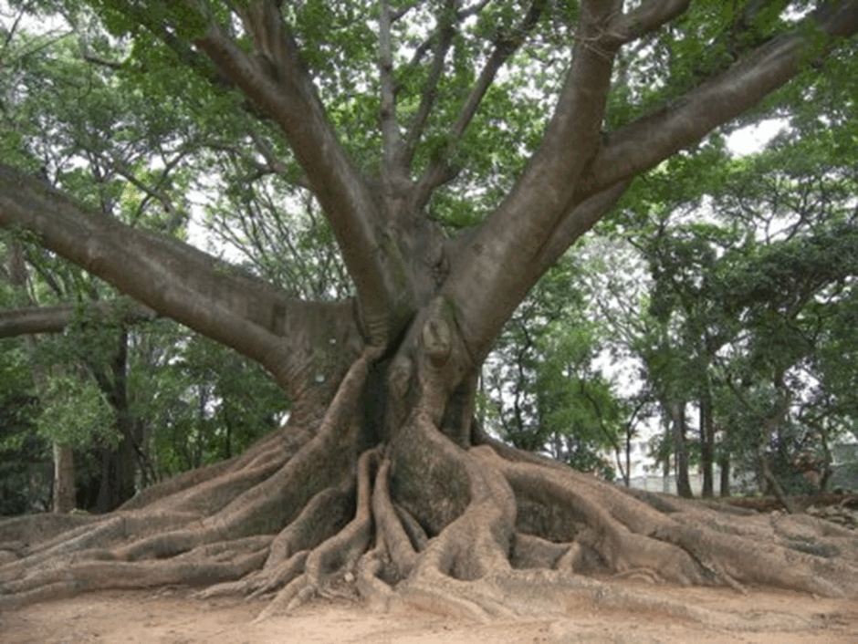 06031u5m-ea08-940x706.png