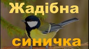Віктор Приходько " Жадібна синичка"