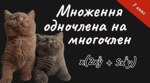 Презентація до уроку алгебри в 7 класі  "Множення одночлена на многочлен" НУШ