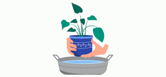 06031xdy-5759-329x153.png