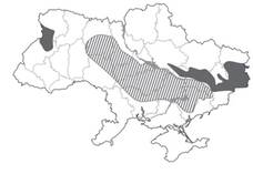 06031xl2-0326-228x157.jpg