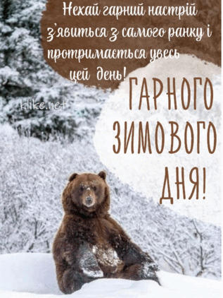 06031xns-3487-317x422.png