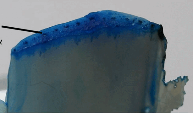 06031xs1-80d2-614x360.png