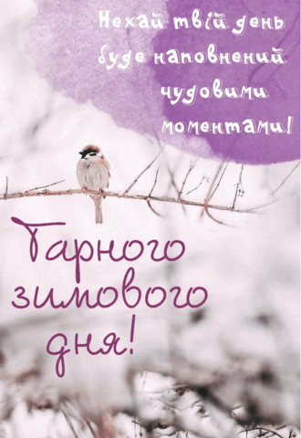 06031ycz-edee-330x480.png