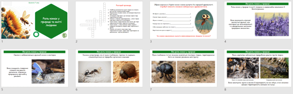 06031zes-a193-940x304.png