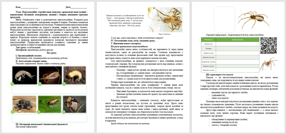 06031zo0-6e72-940x442.png
