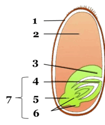 06031zy0-9089-206x247.png