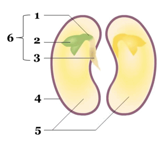 060320ct-1920-325x284.png