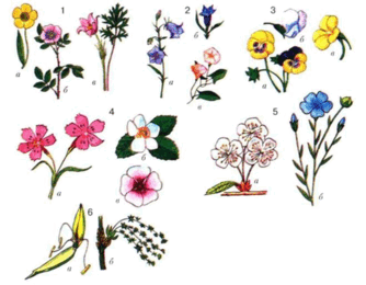 060321lg-1efe-334x260.png