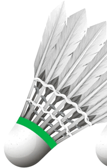 060324me-e3b9-216x339.png