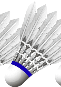 060324n2-e0a7-238x339.png