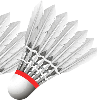 060324np-cb19-328x339.png