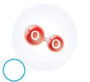 060325dg-1d5e-310x283.png