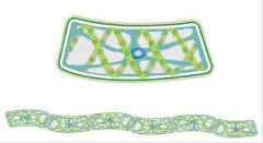 06032651-750c-405x221.png