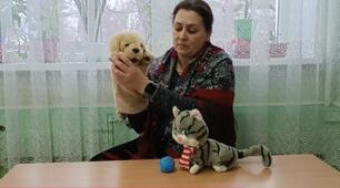 Домашні улюбленці.