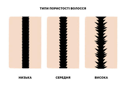 Перевір пористість свого волосся • Блог Cosibella