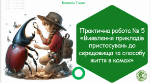 Практична робота № 5 «Виявлення прикладів пристосувань до середовища та способу життя в комах»