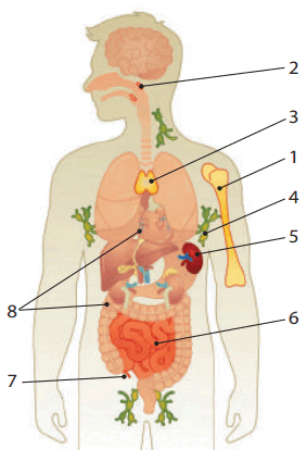 06032j1b-c797-283x425.png
