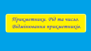 Прикметники. Рід та число. Відмінювання прикметників