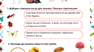 Діагностувальна робота № 3 з ЯДС (Гільберг)