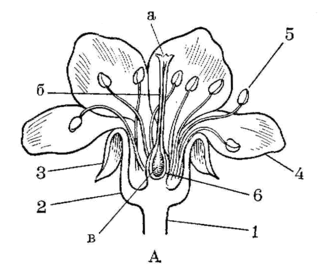 06032nqy-26c7-321x266.png