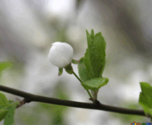 06032p99-0780-219x180.png